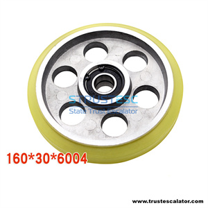 160X30X6004 160X30X6203 Elevator high speed guide roller 