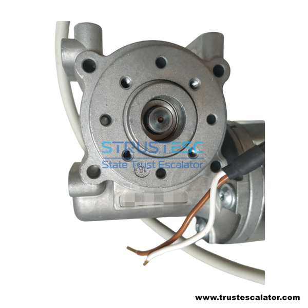 B105AANX02 B105AANX02-D GR 63X25 GR63*25 Elevator Door Motor Use for 7000