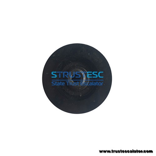 Elevator Door Hanger Roller 48x14x6200 