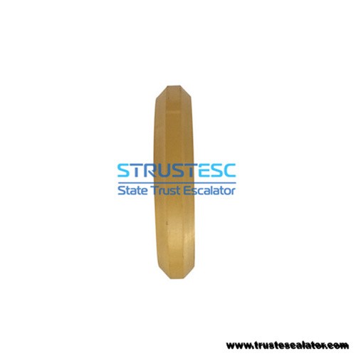 Elevator Guide Shoe Roller 125x22x6203/6304