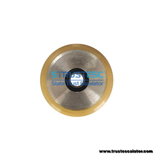  Elevator Guide Shoe Roller 125x22x6203/6304