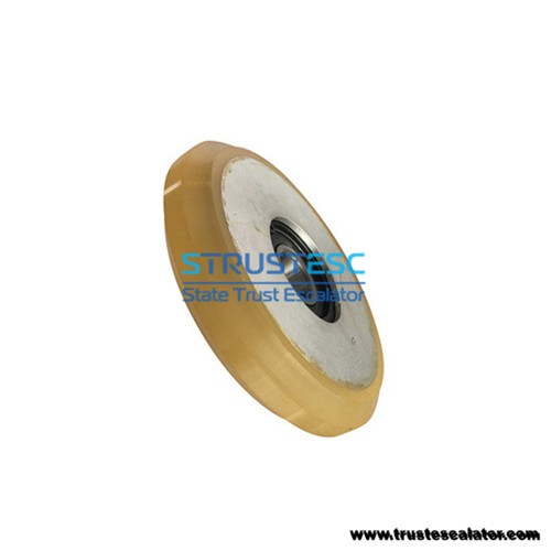  Elevator Guide Shoe Roller 125x22x6203/6304