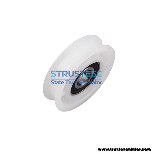 Elevator Nylon Door Hanger Roller 85x20x6204RS