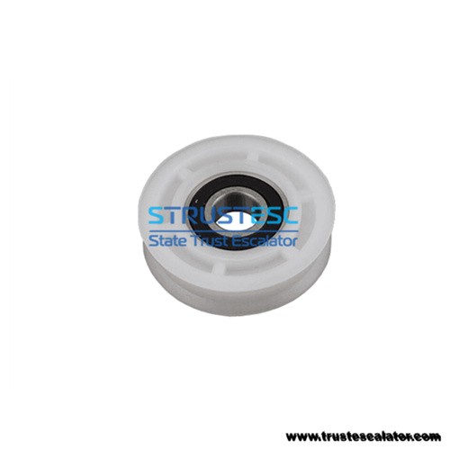 Elevator Nylon Door Hanger Roller 85x20x6204RS