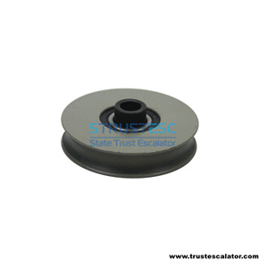 Elevator door hanger roller W/WO axle 65x13x6202 round 