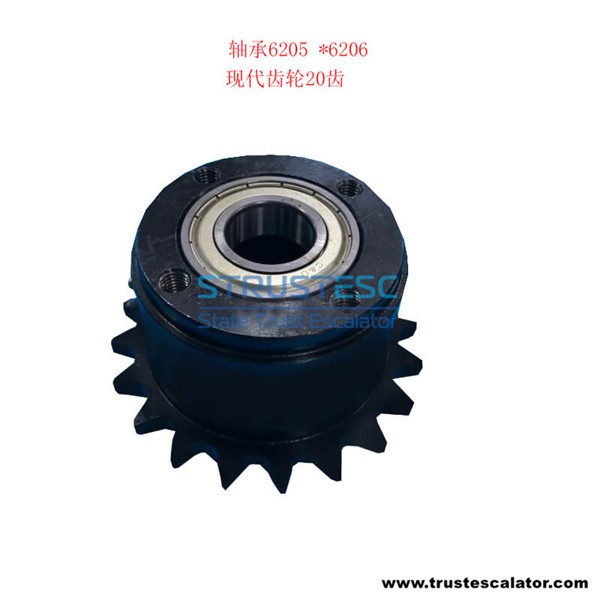 Escalator Gear 20T Bearing 6205 6206 Use for Hyundai Escalator