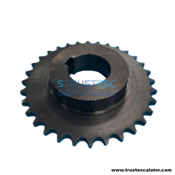 Escalator Gear 32T Bearing 6205 6206 Use for Hyundai Escalator