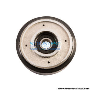 Escalator Roller Use for Fujitec OD130mm W28mm Bearing 6304
