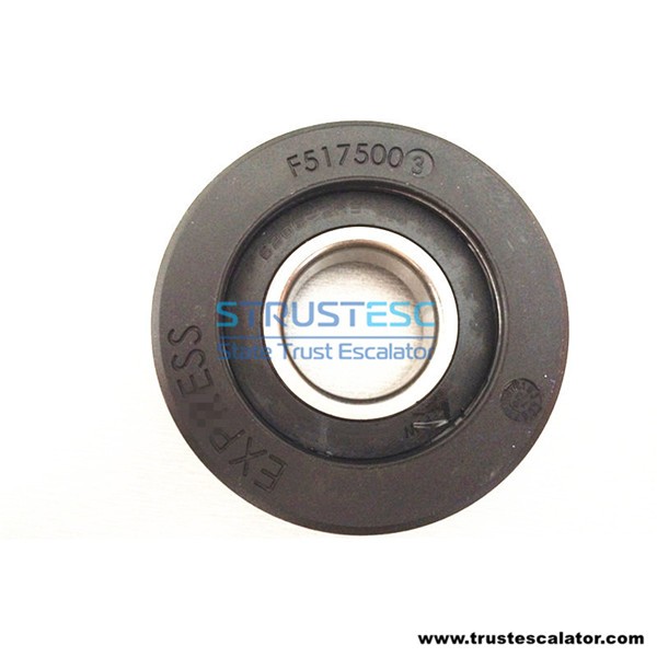 F5175003 Elevator Step Roller 80x25 Bearing 6206-2RS Use for Express