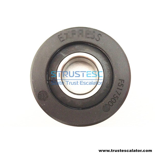 F5175003 Elevator Step Roller 80x25 Bearing 6206-2RS Use for Express
