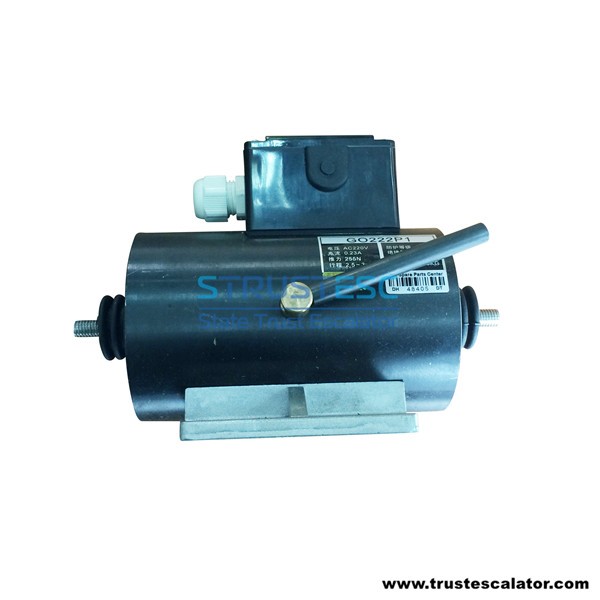 GSD100 GO222P1 16VEC Escalator Brake 255N AC220V use for Otis 