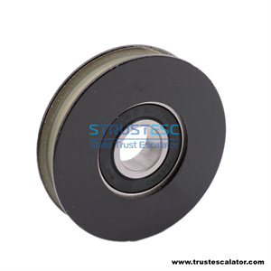 OD84mm W17mm 6204 Lift door roller use for Mitsubishi 