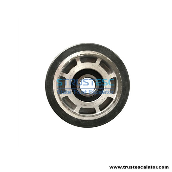 Step Roller for Kone OD100mm W25mm 6204-2RS