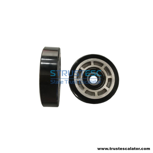 Step Roller for Kone OD100mm W25mm 6204-2RS